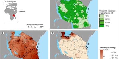 Карта Танзанії малярії 